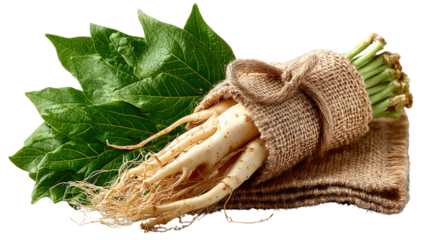 Ginseng and Leaf: The medicinal benefits of ginseng root are visible, along with vibrant, fresh leaves. The image captures the essence of holistic health and natural wellness.
