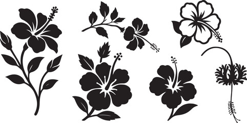 Elegant black and white hibiscus flower silhouettes, Tropical floral vector artwork © jakircreativedesign