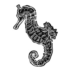 Png black vintage seahorse illustration, transparent background