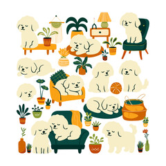 Cozy Dog in a Plant-Filled Home 4
