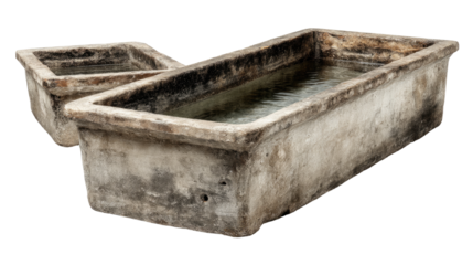 Rustic Troughs: Weathered troughs, remnants of a bygone era, stand side by side. The antique vessels speak volumes about simplicity, function, and endurance.