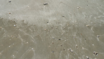 Wet sand on the ocean shore. Pebbles, coral fragments, and shells are scattered. There are traces...