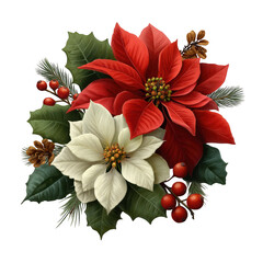 Christmas poinsettia bouquet isolated on transparent background