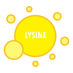 lysine amino acid