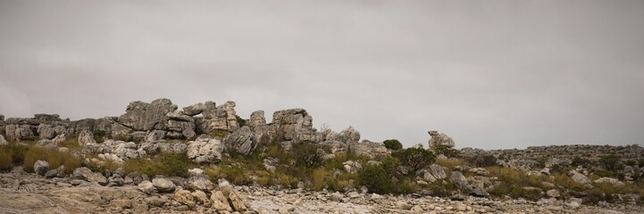 Fototapeta premium Rugged limestone formation is filling flat design landscape, featuring scattered rocks and shrubs