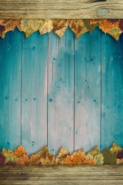 Fototapeta Rustic wooden backdrop is showcasing blue-green planks with raw beams framing dried autumn leaves