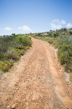 Fototapeta Winding dirt path is curving up scrubby hillside with gravel in flat design vector illustration
