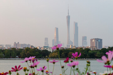 guangzhou skyline with flowers
