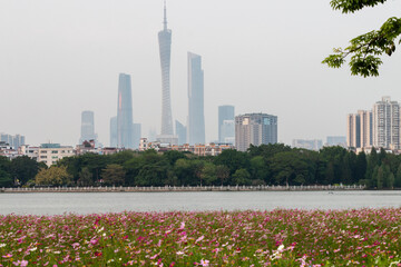 guangzhou skyline with flowers