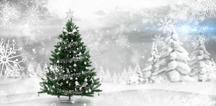 Fototapeta Christmas tree in snowy forest