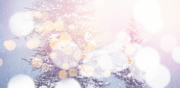Fototapeta Snow covered trees with bokeh in foreground