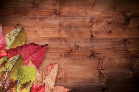 Fototapeta Colorful autumn leaves are resting on flat design warm-toned wood planks with grain, copy space