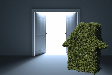 Topiary by doorway in house
