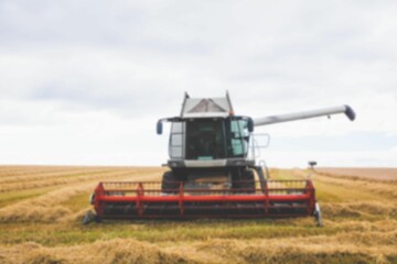 Fototapeta premium Defocused image of combine harvester on sunny field