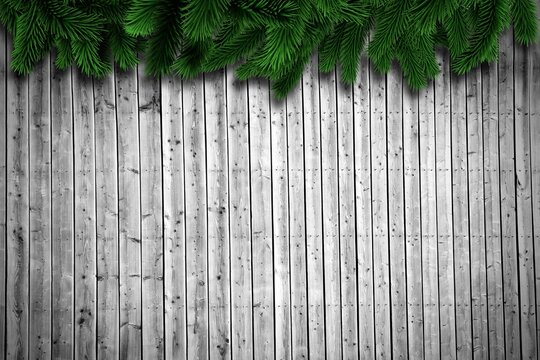Fototapeta Fir branches on wooden planks
