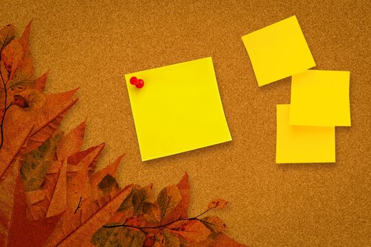 Fototapeta Autumn leaves with yellow notes