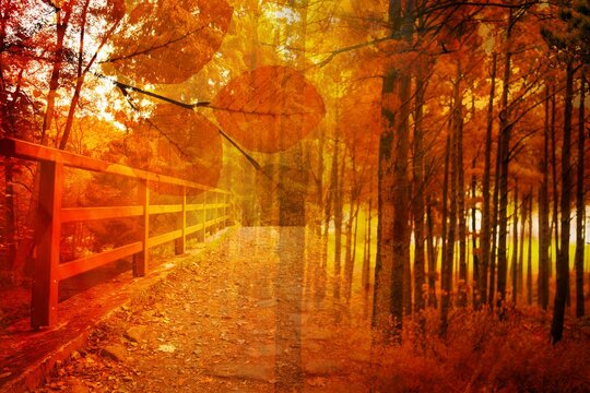 Fototapeta Wooden walkway with railing is being shown in flat vector design within autumn forest leaf overlay