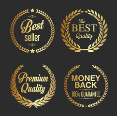 Vector illustration icon luxury badge set on dark background
