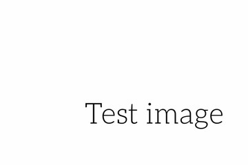 Digitally generated image of test image text in black color