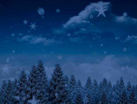 Fototapeta Digitally generated Night sky over forest