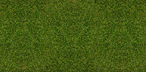 Continuous carpet of green grass blades is covering flat area in flat design, showing even texture