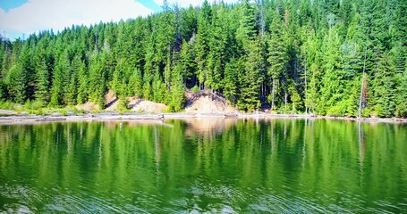 Idyllic shot of trees growing by river