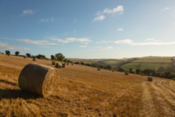Hay bales on farmland against sunny sky