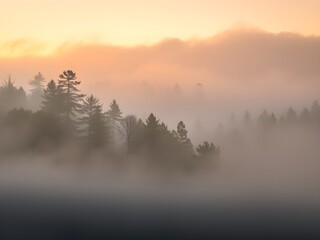 Naklejka premium Serene Misty Forest Landscape with Golden Morning Light – Ultra HD Nature Background