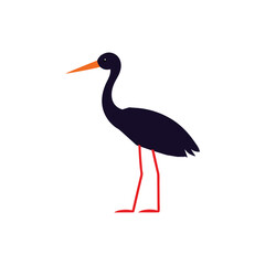 Crane bird vector art illustration.
