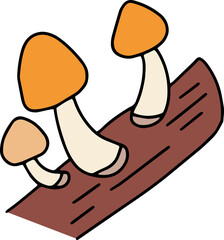 mushroom food fungi food	