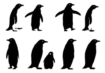 Various Penguin Silhouettes Including Chick on White