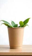 A green plant flourishing within a simple paper cup, a symbol of growth and nature.