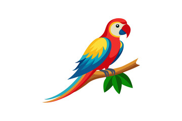 parrot on white background