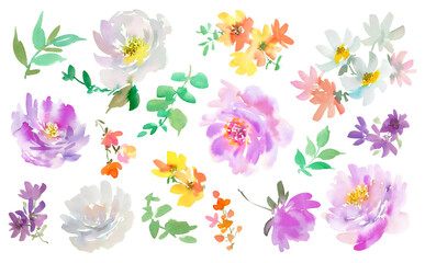 Watercolor abstract purple and white peonies, wild flowers and leaves PNG clip art set / Hand painted watercolor floral illustration set with transparent background.