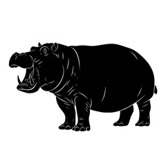 The Fascinating World of Hippopotamuses Exploring Their Habitat Behavior and Conservation Status in Africa