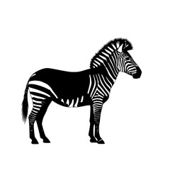 Obraz premium Grayscale Illustration of Zebra Standing in a Plain Isolated White Background with Black and White Stripes