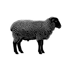 A Black Sheep with Dark Wool and Horns Standing Calmly in a Field under a Sunny Sky