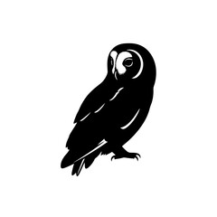 The Silent Hunter Nocturnal Predator Nocturnal Animal Bird Wildlife Nature Feathered Hunter Night Owl Symbol