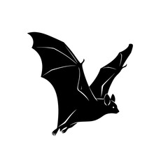A Silhouette of a Bat Flying Through the Night Sky A Creature of the Dark