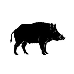 Exploring the Wild Boar A Comprehensive Look at Its Habitat Diet Behavior and Ecological Role in Nature