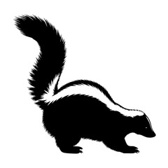 A Wildlife Creature Known for Its Distinctive Odor and Black and White Stripes