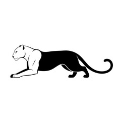 Elegant Black and White Panther in Motion Depicting Strength and Agility