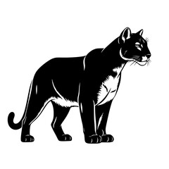 The Majestic Black Panther A Symbol of Power Agility and Grace Roaming Through the Shadows of the Night