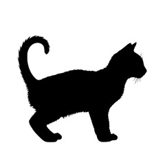 Silhouette Of A Cat Standing Tall With Its Tail Curled Elegantly And Facing Towards Its Left Side