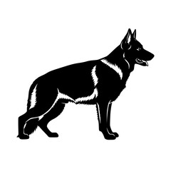 Majestic Canine Companion An Exploration of Dog Breeds Temperaments and Care Tips for Happy and Healthy Dogs