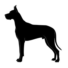 Majestic Silhouette of a Great Dane Standing Tall A Symbol of Canine Grace