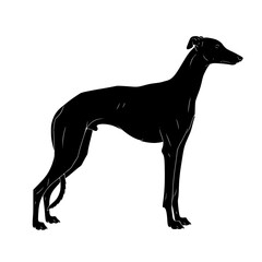A Sleek and Elegant Greyhound Silhouette Stands Out in Bold Contrast on a Plain White Background