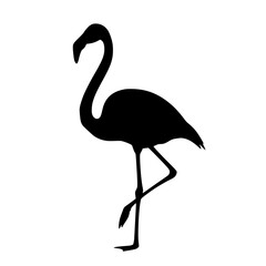An Exquisite Silhouette of a Flamingo Bird Standing Gracefully On One Leg in the Tropical Wildlife Habitat