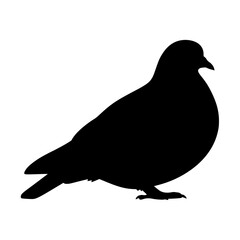 Obraz premium A Silhouette Image of a Pigeon Symbolizing Peace and Urban Wildlife Depicting a Common Sight in Many Cities