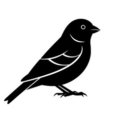 An Illustration of a Silhouette Bird with Small Body Short Beak and Varied Feather Markings